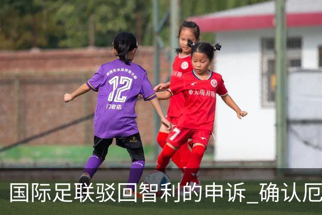 国际足联驳回智利的申诉 确认厄瓜多尔参加世界杯